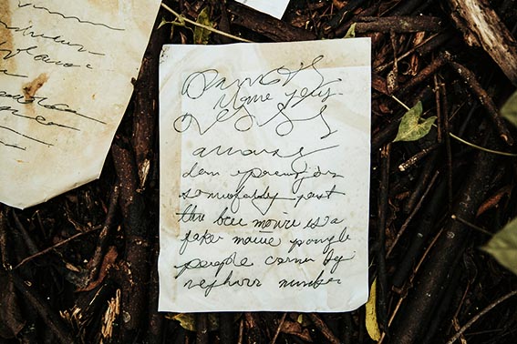 feuille dans les bois